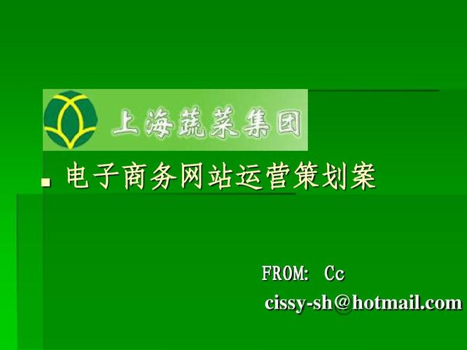 上海蔬菜集团电子商务网站运营策划案